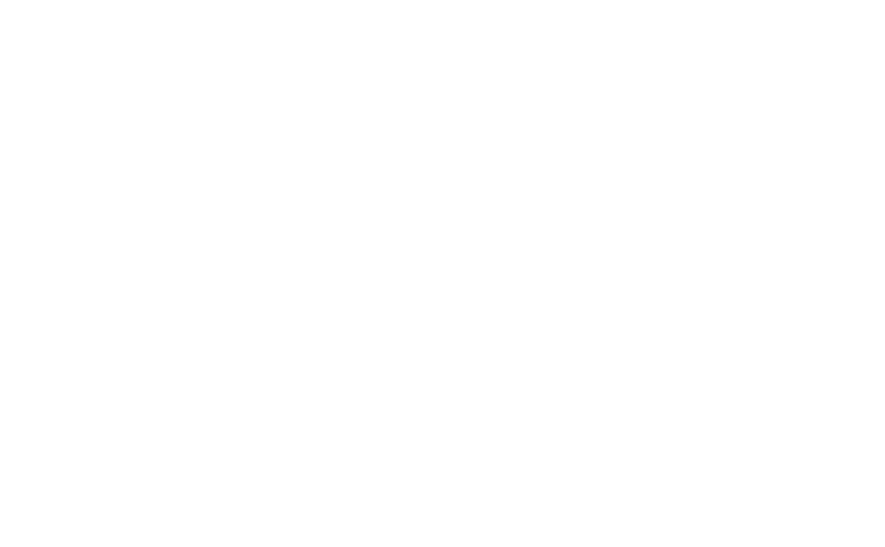 Pfif Logo